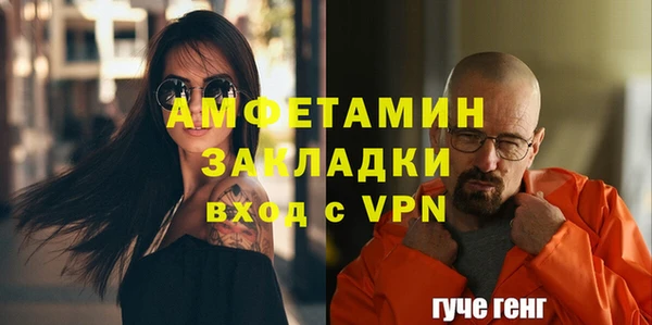 крисы Ельня