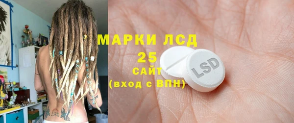 крисы Ельня