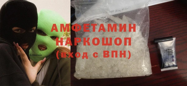 крисы Ельня