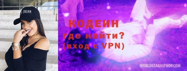 крисы Ельня