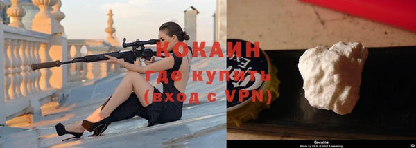 крисы Ельня