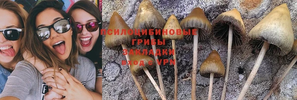 крисы Ельня