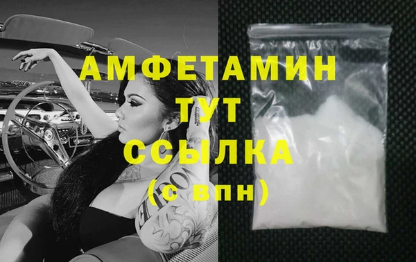 крисы Ельня