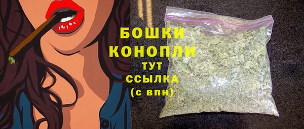 крисы Ельня