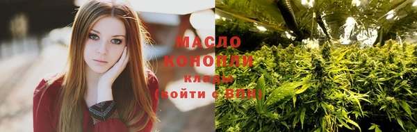 крисы Ельня