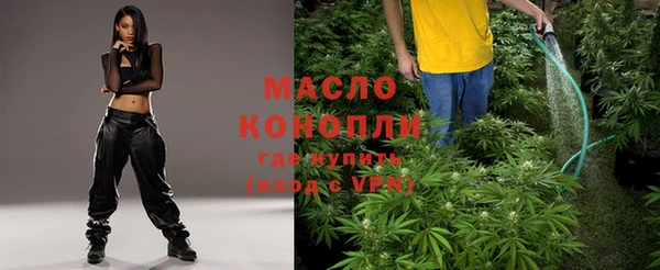 хмурый Елизово