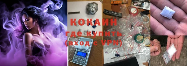 крисы Ельня