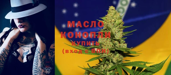 хмурый Елизово