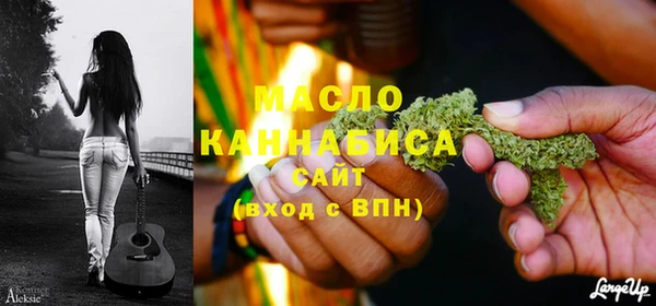 крисы Ельня