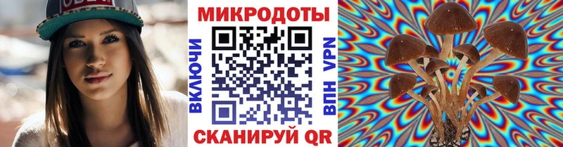 Галлюциногенные грибы Psilocybe  купить наркотик  Шлиссельбург 